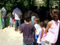 /album/nossa-dedica%c3%a7%c3%a3o/acolher2-jpg/